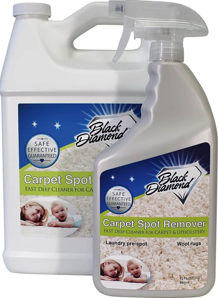 Can You Use Carpet Cleaner Spray On Couch