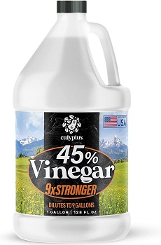Can I Steam Clean Carpet with Vinegar