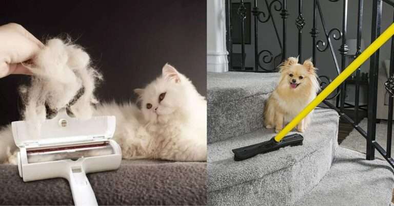 How to Get Pet Hair Out of Carpet Without Vacuum? The Ultimate Guide to Finding