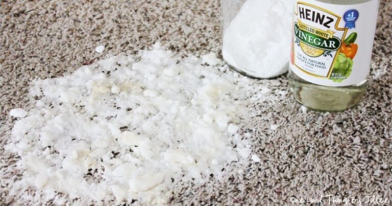 Explore the potential of steam cleaning carpet with vinegar.