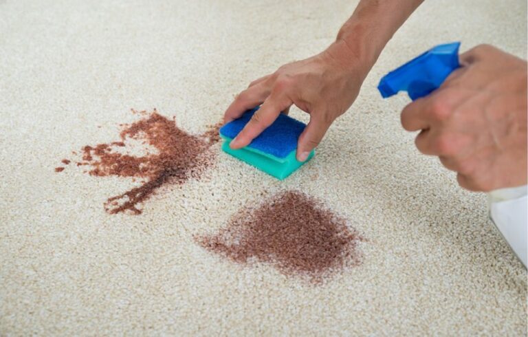 How to Clean Pet Stains from Carpet Naturally: The Best Tips and Tricks