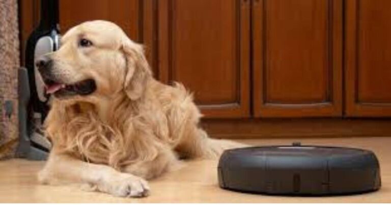 Robot Vacuum Cleaner That Works On Dog Hair? The Ultimate Guide