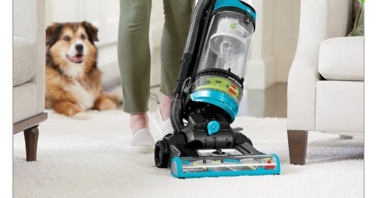What is the Best Vacuum Cleaner for Pet Hair? A Comprehensive Guide