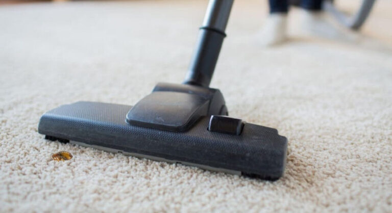 can carpet cleaning kill fleas? Effective Flea Elimination